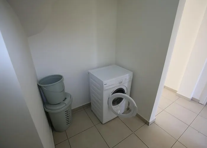 Lighthouse Tulip * 费特希耶