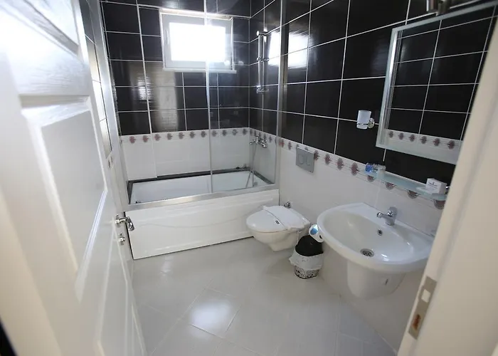 Lighthouse Tulip 费特希耶