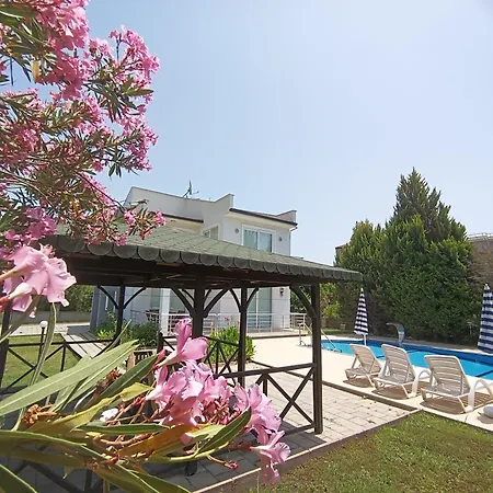 Lighthouse Tulip فتحية