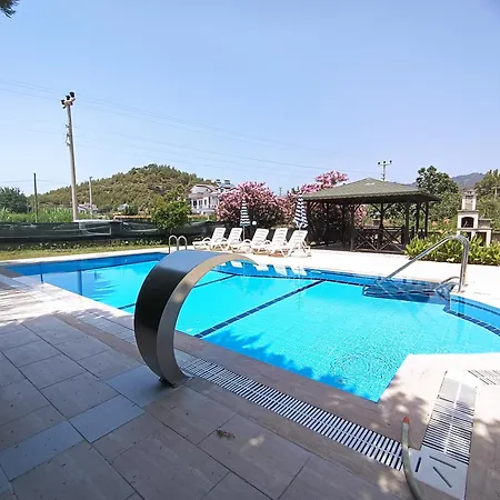 Lighthouse Tulip * فتحية