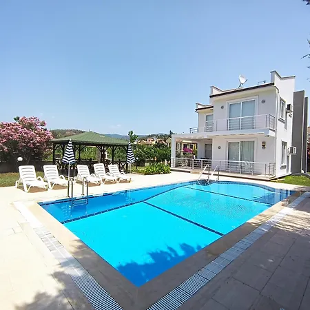 Lighthouse Tulip فتحية