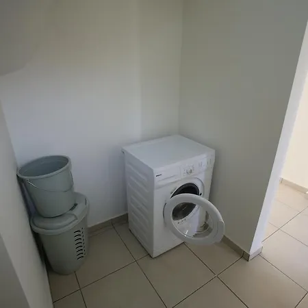 Lighthouse Tulip * فتحية