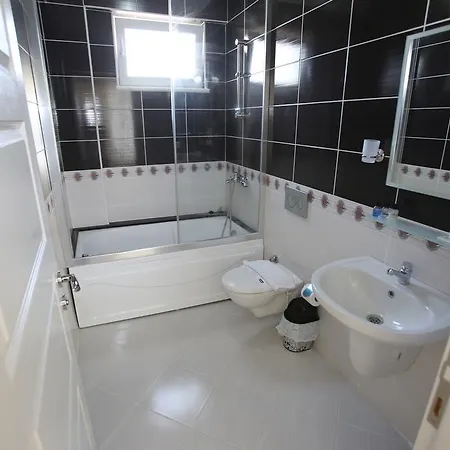 Lighthouse Tulip فتحية