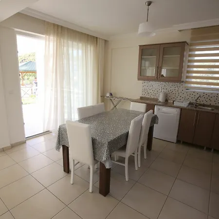 Lighthouse Tulip فيلة *